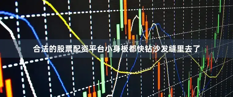 合法的股票配资平台小身板都快钻沙发缝里去了