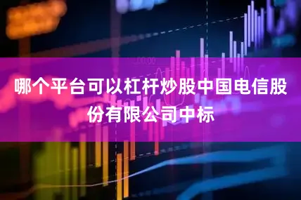 哪个平台可以杠杆炒股中国电信股份有限公司中标